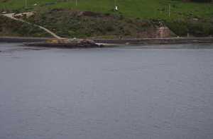 HARINGTON-POINT-DUNEDIN (17)